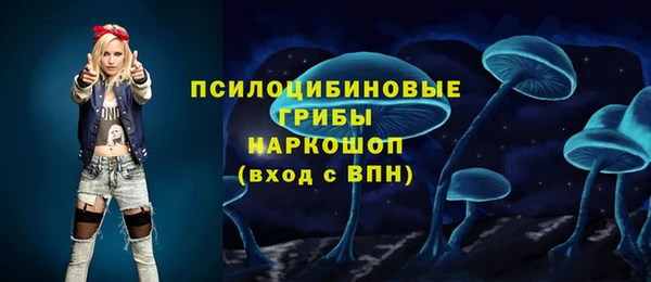 дживик Армянск