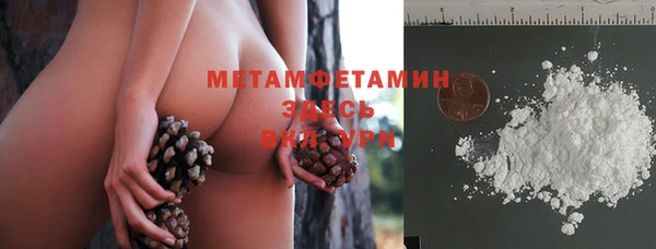 шишки Арсеньев