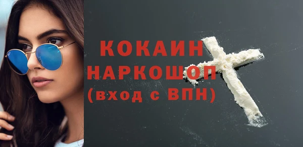 шишки Арсеньев