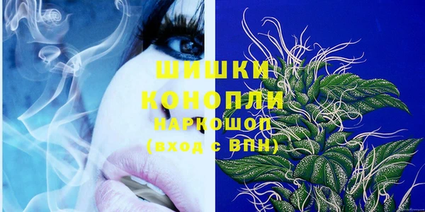 шишки Арсеньев