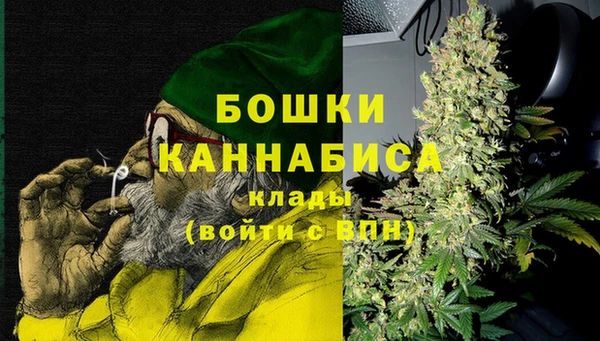 шишки Арсеньев