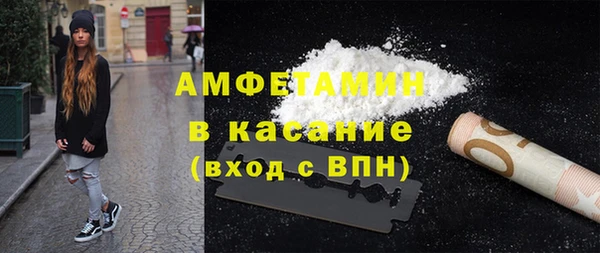 шишки Арсеньев