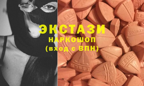 шишки Арсеньев