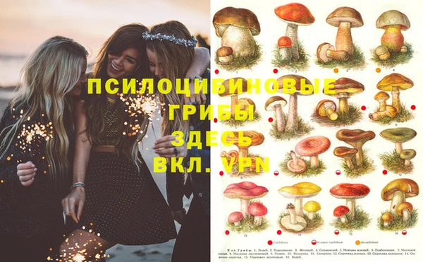 дживик Армянск