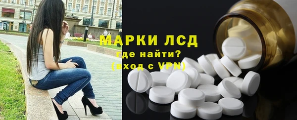 шишки Арсеньев